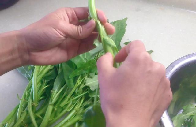 蒜泥空心菜，蒜泥空心菜的做法（蒜泥空心菜图片）