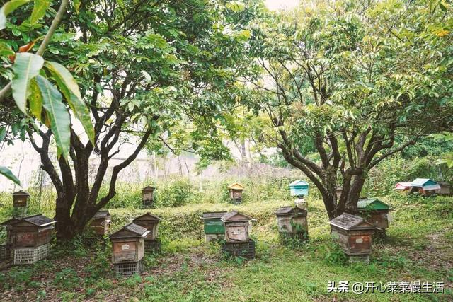 土特产店名，土特产店名一般叫什么（偶遇广东揭西县两位牛人）