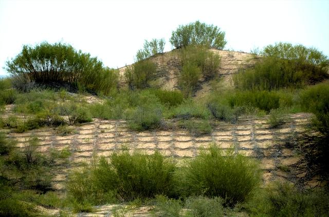 世界十大沙漠排名，最大的沙漠（沙漠面积比海南岛还大）