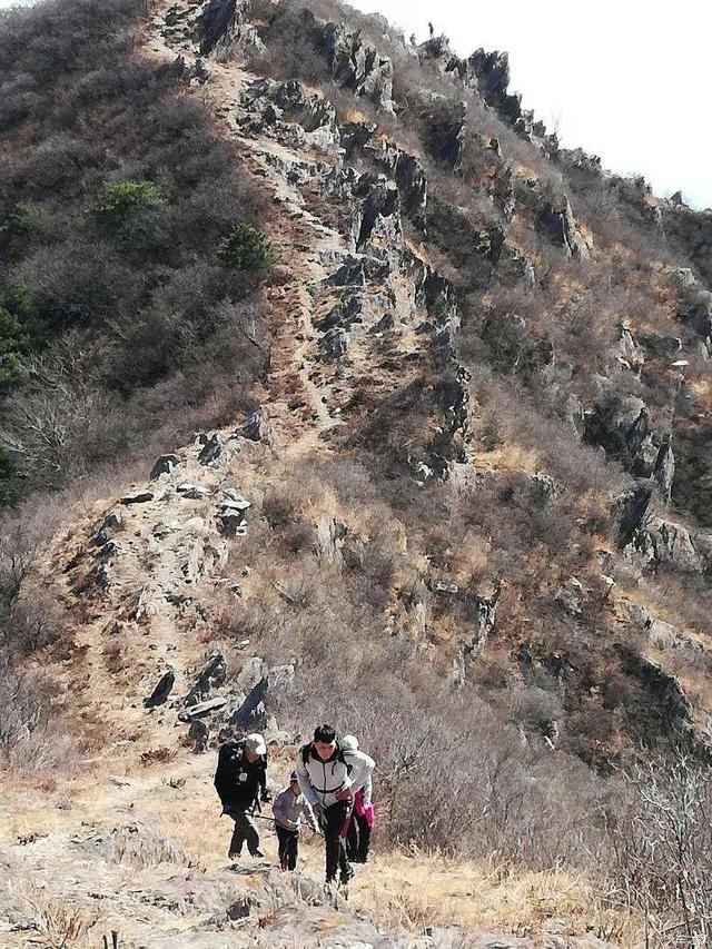 平字的拼音，平字的拼音大写（《凹凸平谈》）