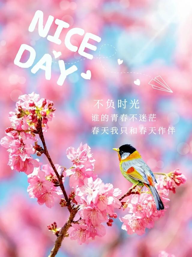 高端大气的早安图片(特别漂亮的早上好动态图片最新版)