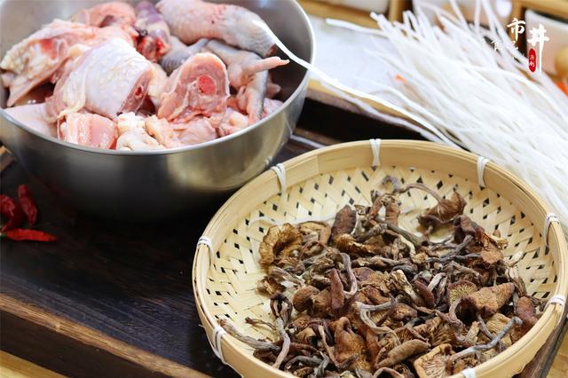 小鸡炖蘑菇用的什么蘑菇，小鸡炖蘑菇的蘑菇是哪一种（做东北菜小鸡炖蘑菇，用什么菇）