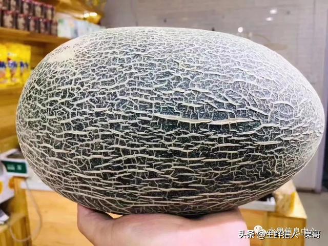 绿色的哈密瓜叫什么，绿色的哈密瓜叫什么名字（哈密瓜、蜜瓜、网纹瓜、香瓜、羊角蜜傻傻分不清）