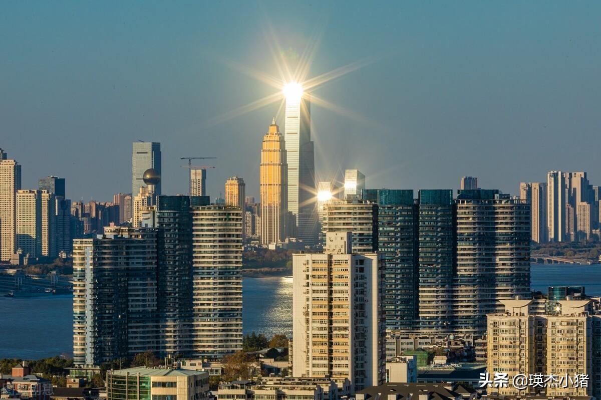 武汉大学校长级别（武汉有多少个省部级机构）