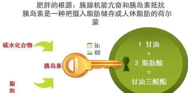 霍思燕产后半年瘦到90斤，3个瘦身秘诀降低体脂率