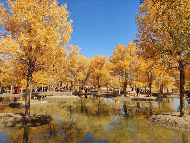 甘肃旅游必去十大景点，甘肃风景最美的十个景区