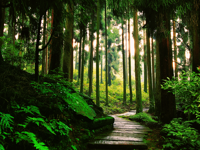 附近景区哪里好玩，宁波附近哪里好玩（大都1天打来回）