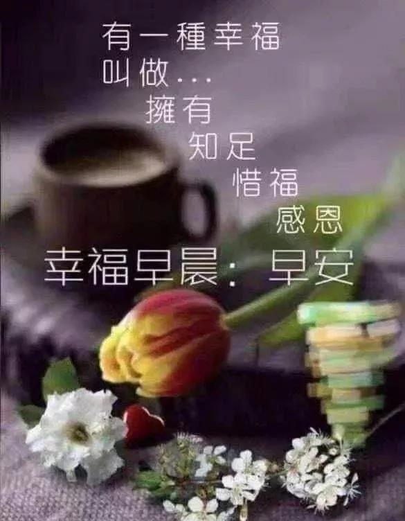 说说动态配图，动态说说图片（2022清晨早安问候动态表情图片）