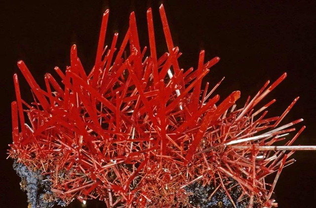 铅的化学元素符号，pb是什么元素怎么读（地球杂志：大“铅”世界）