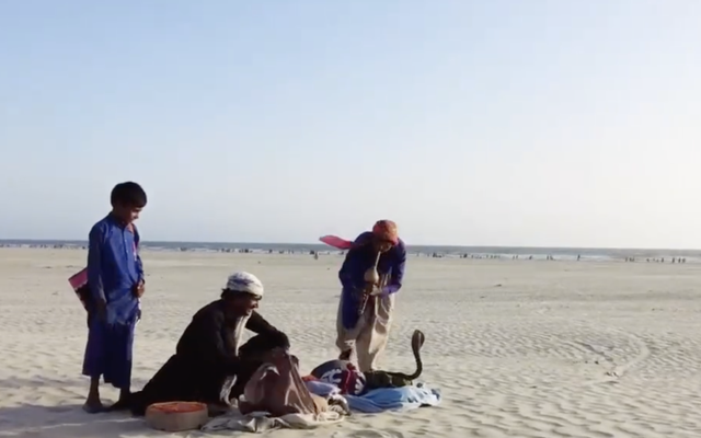 布灵布灵，布灵布灵闪闪的东西（疫情后想回国打工图片）