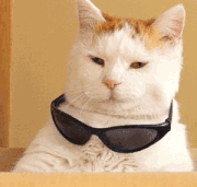 cad字体问号，cad中文字显示为问号如何解决（图纸文字都成了问号）