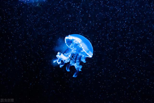 翊怎么读，缪怎么读姓氏（每日精进之生僻字）