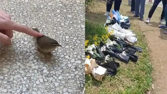 长沙医学院学费多少钱一年，长沙医学院学费多少（长沙医学院附近民房倒塌的大悲剧）