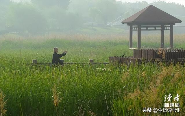 交往的质量，良好的交往品质有哪些（余生，和相处舒服的人在一起）