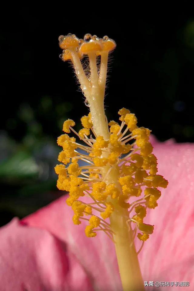 什么情况下拍照用HDR模式，拍照中的hdr是什么模式（你想不到的公园拍照技巧）