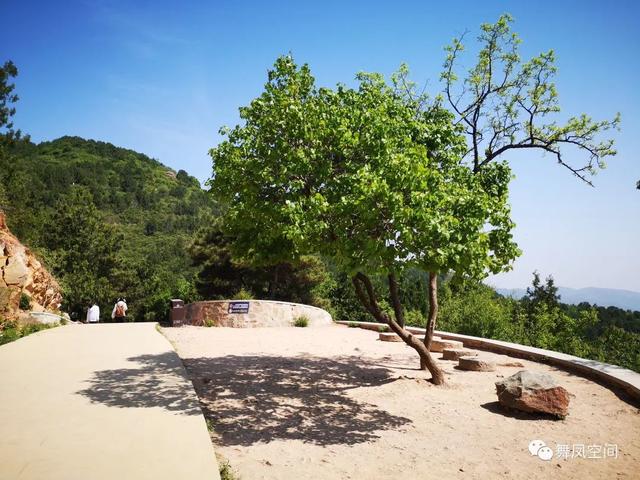 北京西山森林公园，北京西山森林公园登山路线推荐（西山国家森林公园）