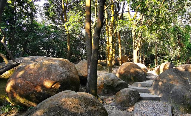 广州景点排行榜前十名，广州旅游景点排名前十（广州十大冷门景点）