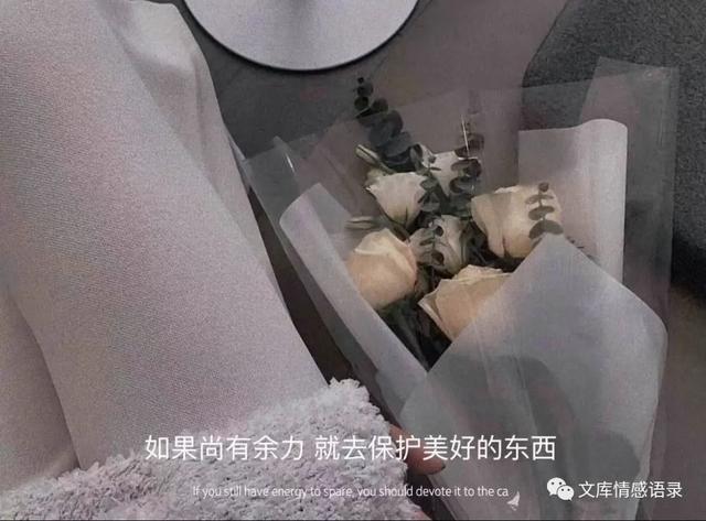 重新开始的句子，失望后重新开始的句子（“那就重新开始吧”句子）