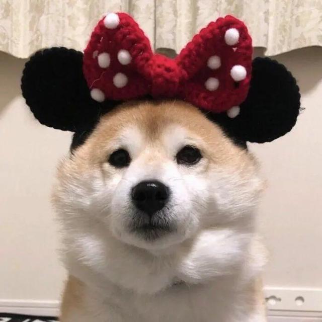 简单QQ头像微信，简单QQ头像（超级好看的可爱头像）