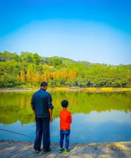 深圳荔枝公園有什麼好玩的(深圳這7個公園可以搭帳篷)