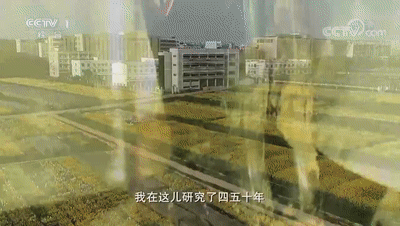 十个名人小故事，关于名人的一个小故事（他跟一株花“较劲”60年）