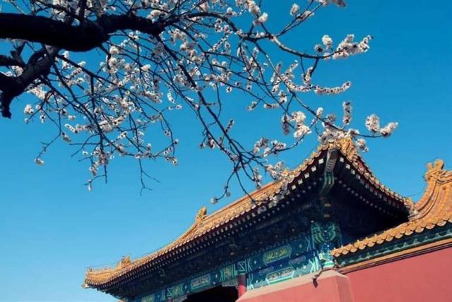 爱国主义诗词，爱国主义诗词小学生（8首著名爱国诗词）