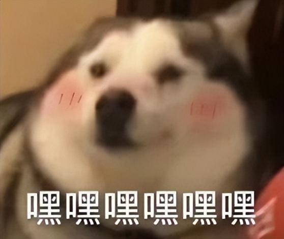 火字旁的字取名，取名常用的火字旁的字推荐（你家娃名上榜了吗）