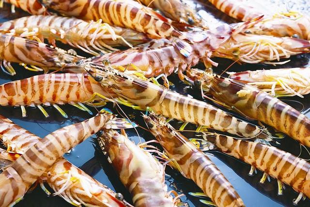 虾仁的18种做法，虾仁有几种做法（10种家常大虾的做法）