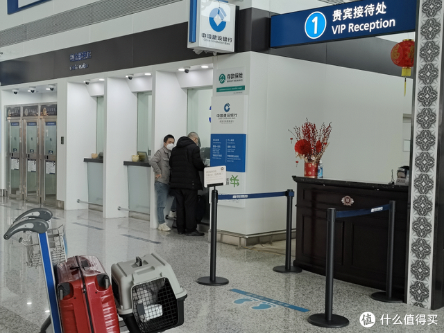 飞机托运收费多少钱一斤，飞机托运收费多少钱一斤2021（可能是全网最全的宠物航空托运攻略）