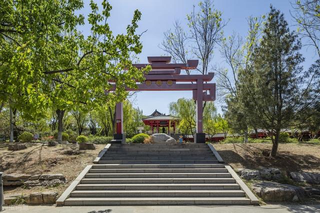 师范高等专科学校排名，2020全国师范类最好的专科学校排名（这5所专科类型的师范高校帮你实现）