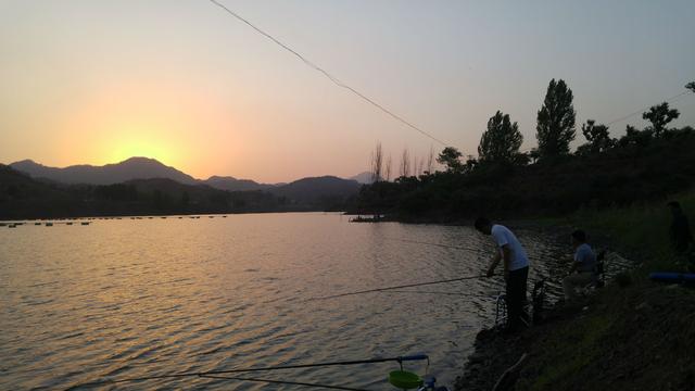 晚上蚊子很多用什么方法可以驱赶，半夜驱蚊子最有效的方法（只需掌握这5个“要点”）