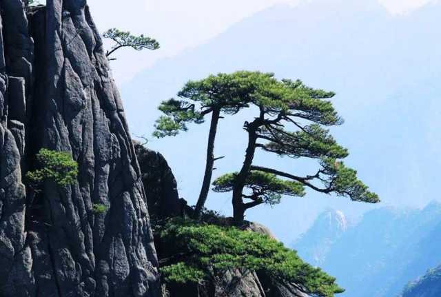 赠从弟原文及翻译其二，赠从弟原文及翻译其三（名列建安七子的刘桢何尝不是自勉）