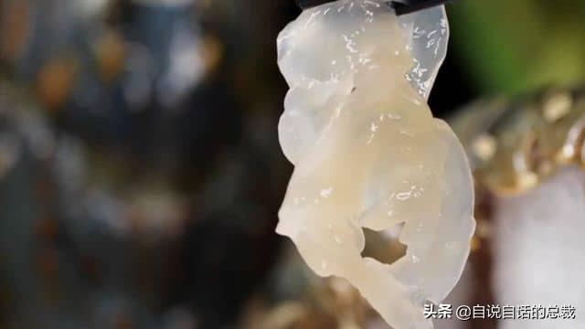 小龙虾属于海鲜类吗，小龙虾是海鲜吗（龙虾：从小龙虾到大花龙）