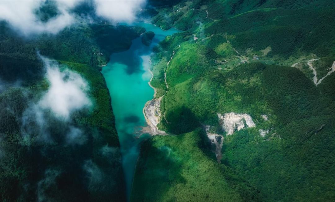 天友（以高山酸奶抢占消费认知）