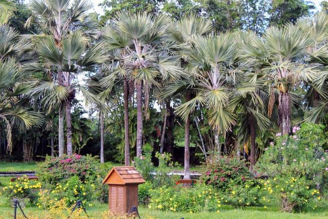 5月20对老公说的话，对老公说的话（致明天的520…给我老公）