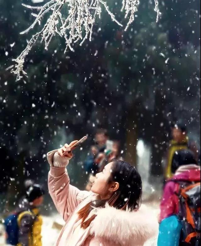 天台山旅游攻略，天台山旅游攻略大全（享受当下冬日的清闲与暖意）