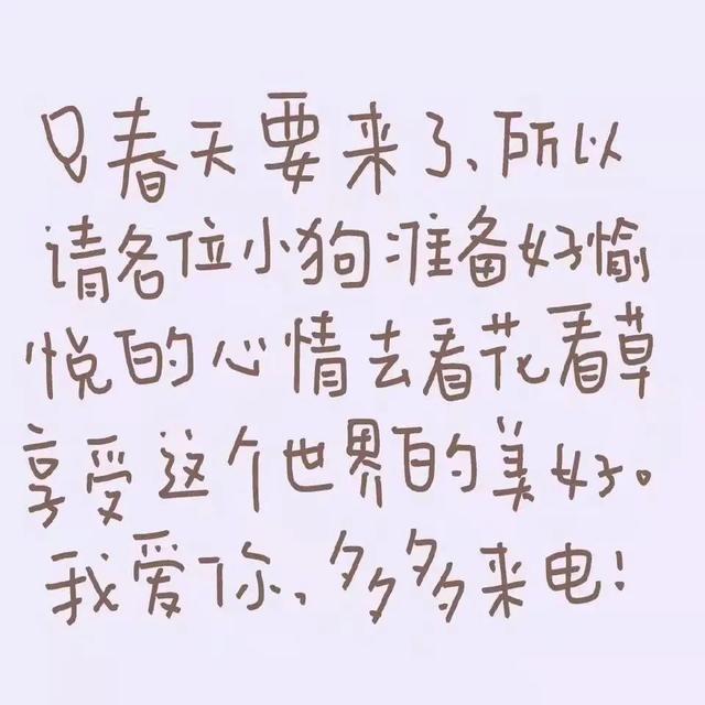 小狗文学啥意思，小狗文学是什么意思（谁能拒绝可爱又治愈的呢）