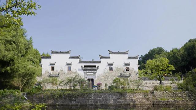 黑木耳可别这么吃，黑木耳咋吃好（徒步旅行or沿线游玩）