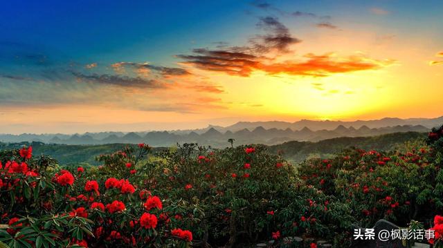 3月旅游的最佳地点，3月去什么地方旅游最好呢（三月份旅游一定要去的六个地方）