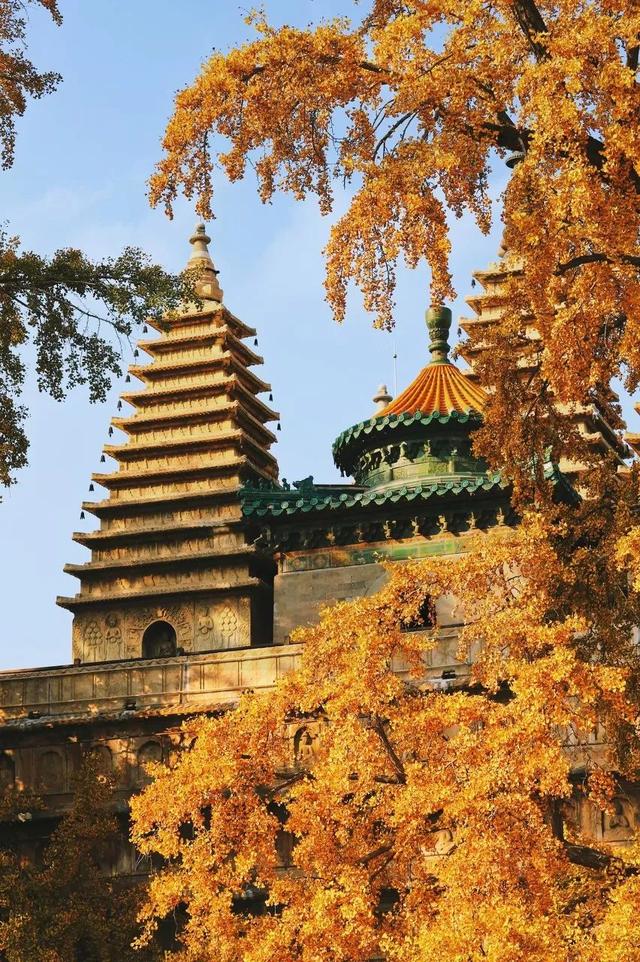 北京风景优美的地方，北京十大最值得去的景点（古寺寻幽、山林品茶）