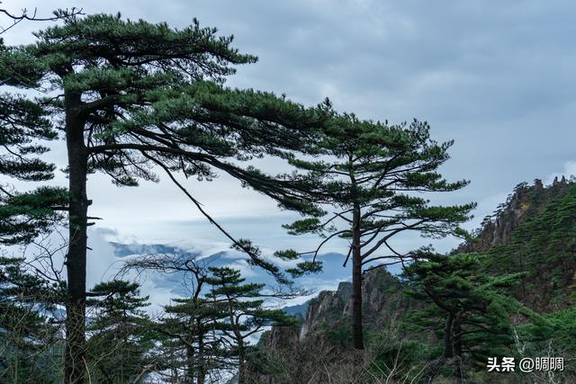 去安徽黄山尽量避免爬山攻略，超详细黄山避坑指南