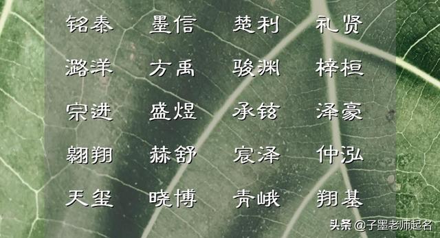 水虎宝宝取名字应注意什么，水虎命起名字带什么好（怎样取名更显得婉转动听）