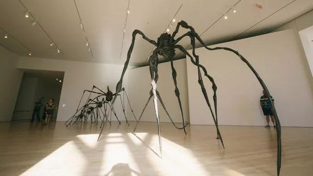 三藩市为什么叫旧金山，三藩市为什么叫旧金山地图（聊聊奥运冠军谷爱凌出生地——旧金山）