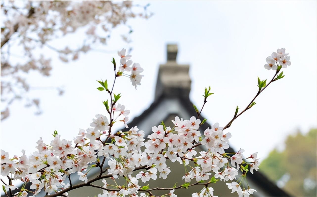 各大学录取分数线（终版）