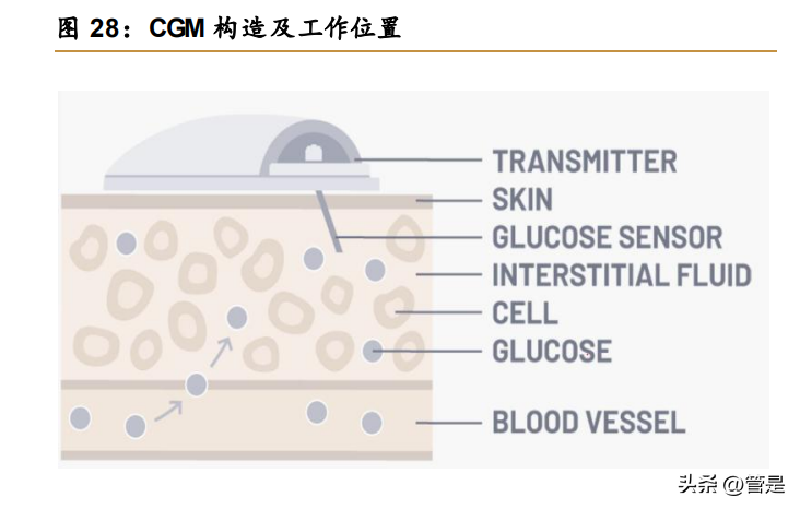 三诺（三诺生物研究报告）