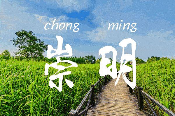 崇明岛旅行团建，呼吸森林氧吧！东平国家森林公园!
