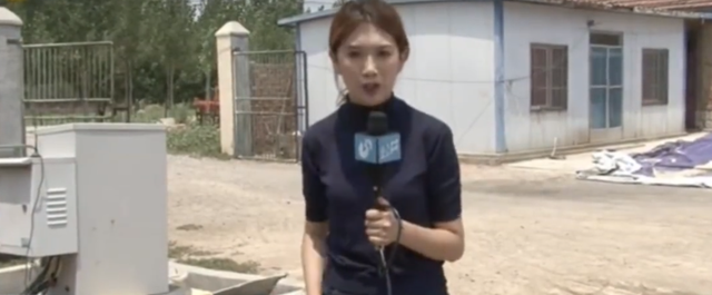 东方卫视主持人，东方卫视六大主持人怎么样了（东方卫视两位新主持人）