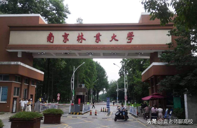 南京林业大学为什么排名很低，2021南京林业大学排名（一个211一个双非省重点怎么选）
