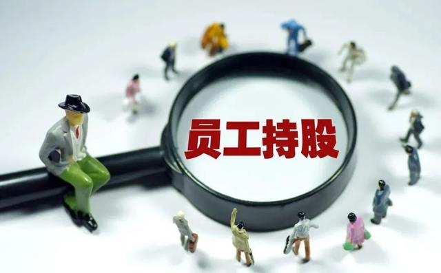 员工持股计划的利与弊（略谈员工持股计划的创业者风险）