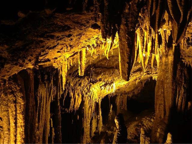 指南针怎么看，指南针怎么看方向图解（3名记者探险失踪8天）